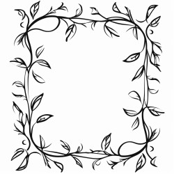 a border for a picture frame vines