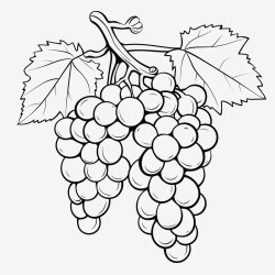 grapes