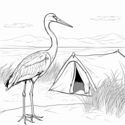 fais moi un dessin dune cigogne qui vit dans un camping