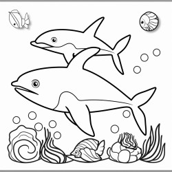 bold and easy sea life