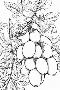 beans green tomatoes  potatoes