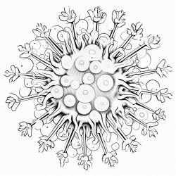influenza virus