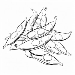 edamame pods snacks food in bold and easy
