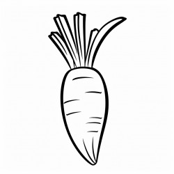 carrot