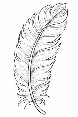 a cute  ethereal feathers  coloring bookvector white background black and white black drawing