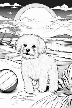 fluffy puppy at the beach playing with a ball