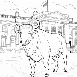 a bull in washington white house