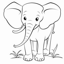an elephant
