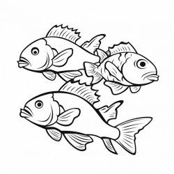 peces