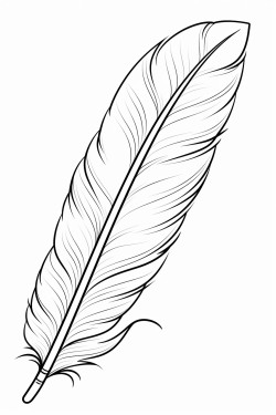puerto rico flag in a feather
