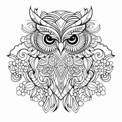 mandala owl