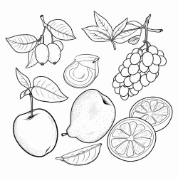fruits