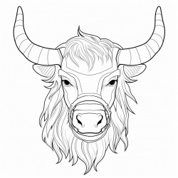 highland cow with a ghost face mask hanging on his horn