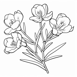 freesia flower