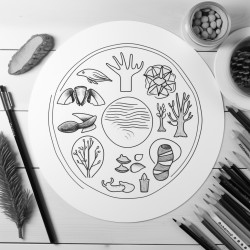 a collage that includes a pine tree wooden boat oars a lobster a potato  a moose mittens a sand dollar a shrimp a whoopie pie a clam bluberries and a chickadee
