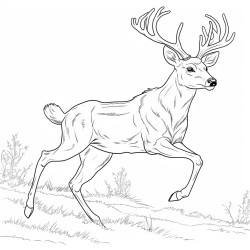 realistic female deer leaping into air