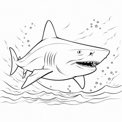 shark that is swimming in the ocean