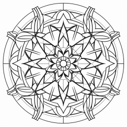 geometric symmetry  symmetrical patterns creating a balanced mandala