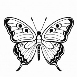 butterfly