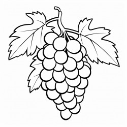 a bunch of grapes