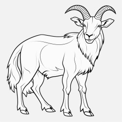 goat