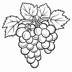 a bunch of grapes