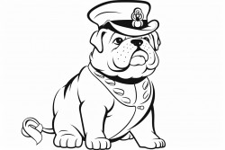 an english bulldog dressed as a pilgrim with a thanksgiving hat