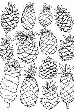 a cute pinecone collection  coloring bookvector white background black and white black drawing