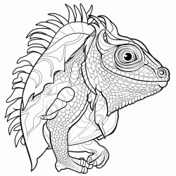 accurate tanytrachelos