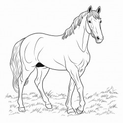 horse