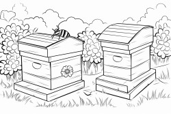 bee hives