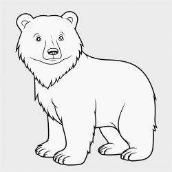 brown bear