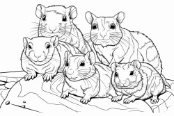 snake bearded dragon leopard gecko guinea pig degu and rat family portrait