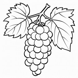 grape