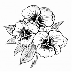 simple flower pansies drawing with bold and black lines