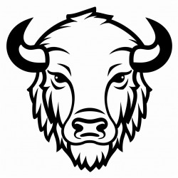 bison face mask