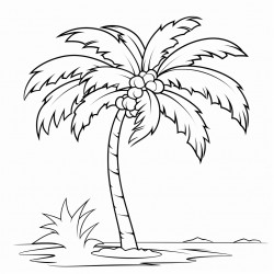 palm tree