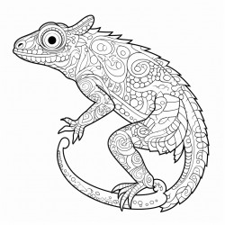 gecko