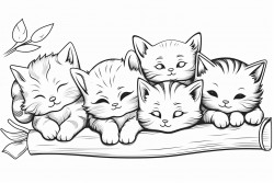 six kittens playing and sleeping