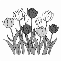 a garden of tulips in various colors