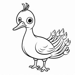 simple image of peacock for very small kids coloring book