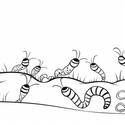 a coloring sheet that features earthworms