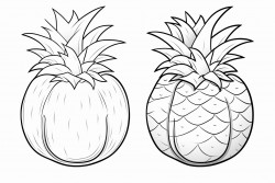 cocnuts pineapples melon mango fruits