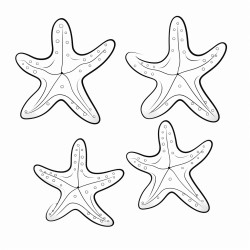 3 starfish