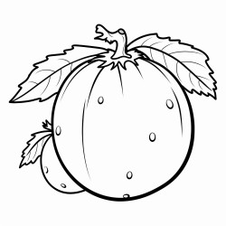 honeydew