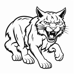wildcat