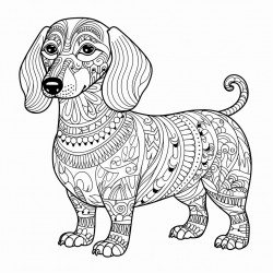 a wiener dog in a wiener costume