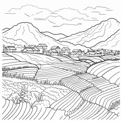 a rice field in reunion island