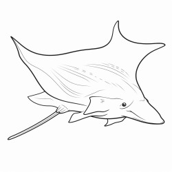 simple manta fish over seaweed 16 colors 100 curved segments bold black lines no details no grayscale no shadows coloring page