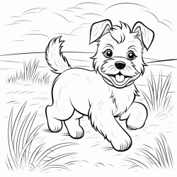 dog running in a wheat field